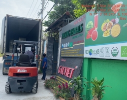 MEKONG HERBALS XUẤT KHẨU THANH LONG ĐỎ HỮU CƠ SANG CHÂU ÂU MEKONG HERBALS XUẤT KHẨU THANH LONG ĐỎ HỮU CƠ SANG CHÂU ÂU