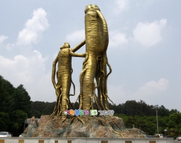 GIỚI THIỆU VỀ NHÂN SÂM HÀN QUỐC GIỚI THIỆU VỀ NHÂN SÂM HÀN QUỐC